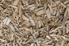 biomass boilers Odsal